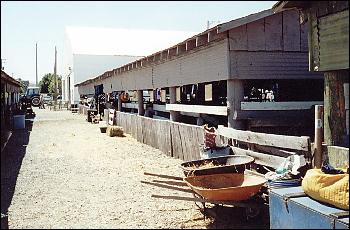 Old Barns