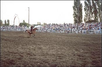 Rodeo action