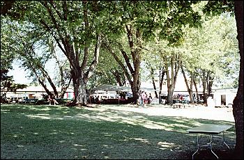 Picture of meeting area with trees.