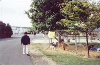 Picture of Vicki at the fair.