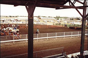 Picture of Rodeo Arena.