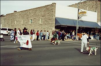 Picture of parade