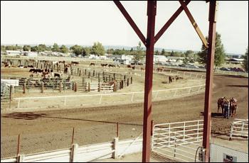 Picture of rodeo arena.
