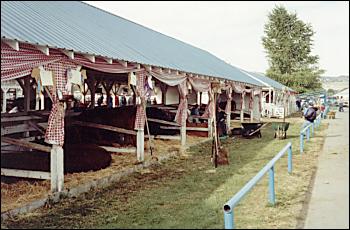 Picture of animal barns