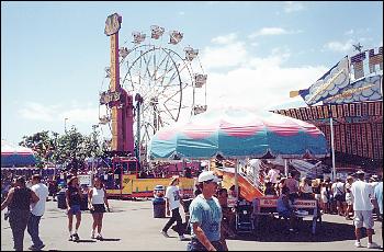 neat amusement area jackson fair county