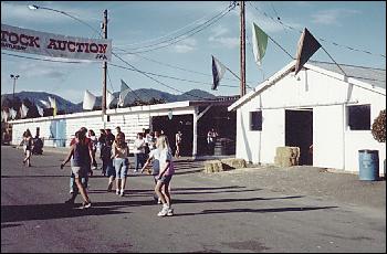 Picture of more animal barns.