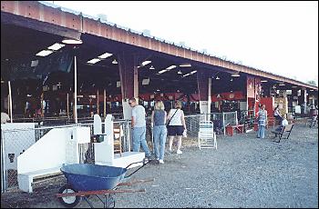 Picture of animal barn.