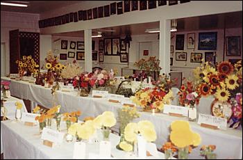 Picture of flower exhibits.