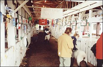 Picture of sheep barn.