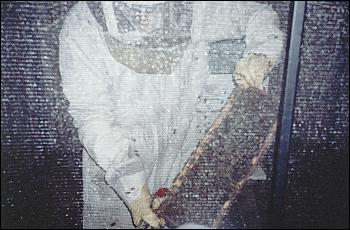Picture of beekeeper and bees.