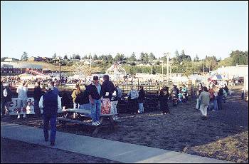 Picture of amusement area.