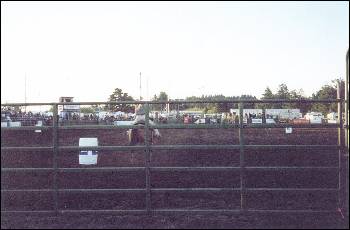 Picture of Barrel Racing