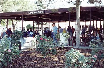 Loafing Shed