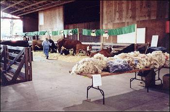 Picture of Wool on a table.