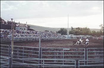 Picture of Rodeo.
