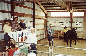Picture of auction.