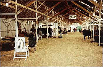 Picture of inside of animal barn
