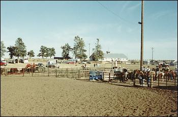 Picture of Rodeo Arena.