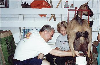 Ken milking a goat