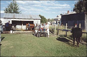 Picture of steer area.