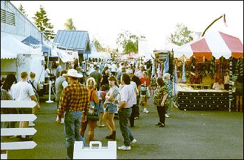 lots of people at the fair